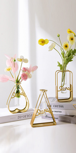 水耕栽培花瓶 試験管花瓶 幾何デザイン 金属枠 ガラス 花瓶 装飾花瓶 フラワーベース 水栽培 一輪挿し花瓶 テラリウム容器 工芸 おしゃれ インテリア飾り 卓上置物 引っ越し祝い プレゼント 北欧