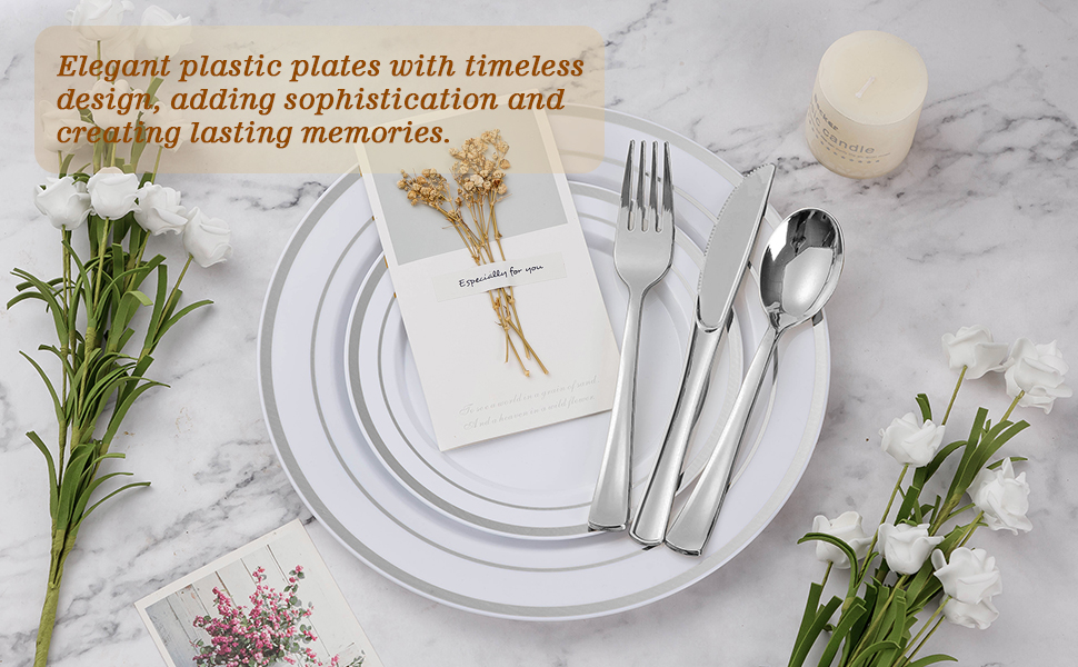 BESTVIP 300PCS Plastic Dinnerware Set (50 Guests), Silver