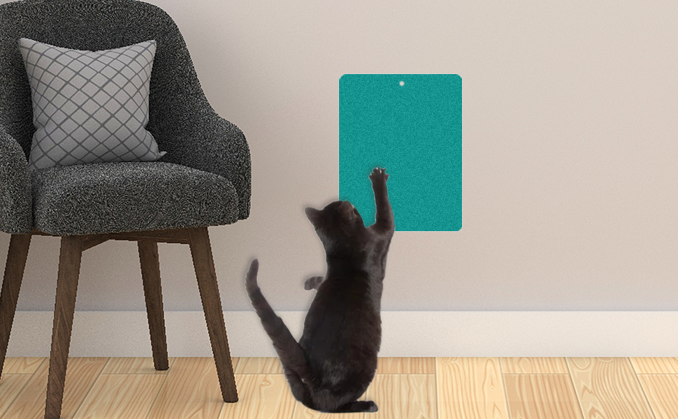 PINVNBY Cat Nail File Scratcher, 3 Pieces Cat Nail File, Cat Scratching Manicure