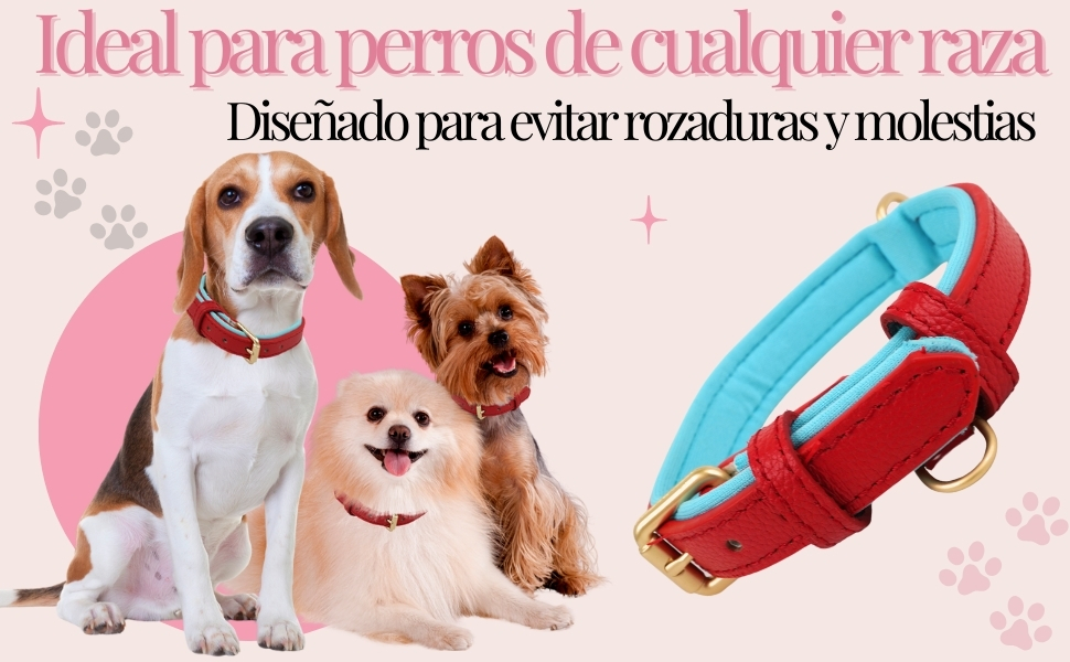 los collares para perros del mundo