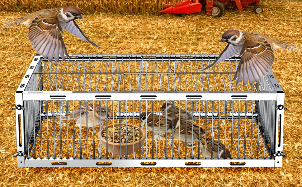 Bird Trap Cage with EscapeProof,Bird Traps for Small