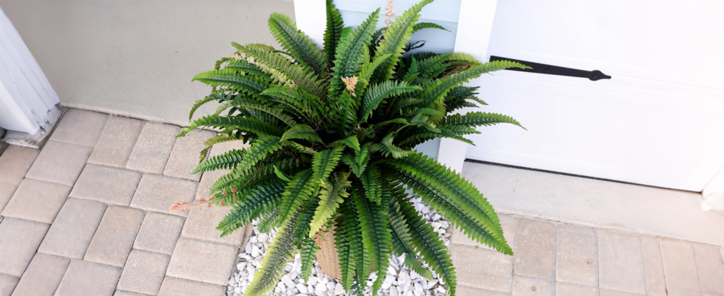 fake  ferns