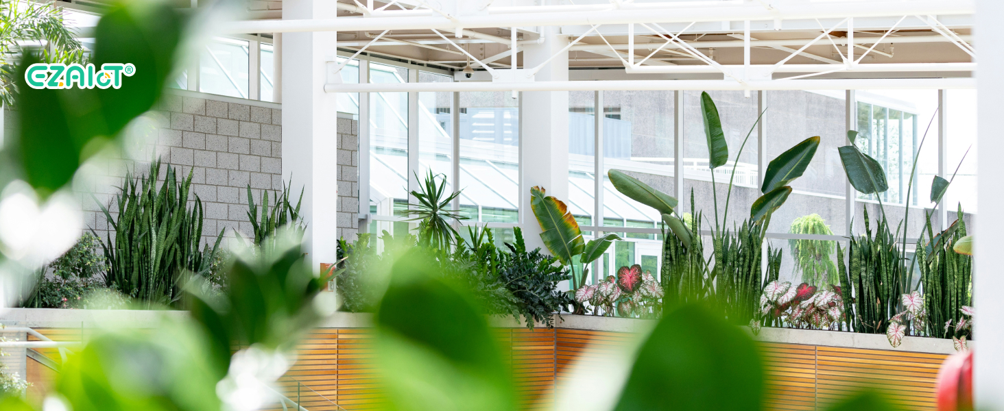 Innenraum mit üppigen tropischen Pflanzen und viel Grün in Pflanzgefäßen aus Holz vor weißen Wänden und hohen Decken mit natürlichem Licht