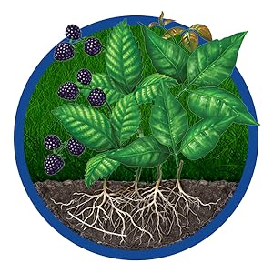 Small manufacture image 1