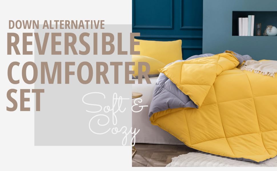KASENTEX 2Tone Reversible Comforter Set with Plush Down