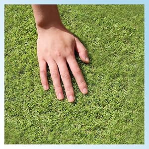 Amazon.co.jp: 人工芝 メモリーターフスウィート 1m×10m 芝丈