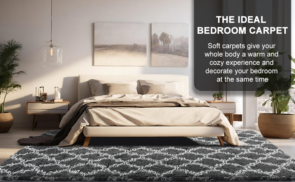 plush rugs for living room