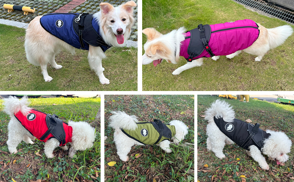 Waterproof Dog Coat with Harness Detachable, Warm Dog Coat for Cold