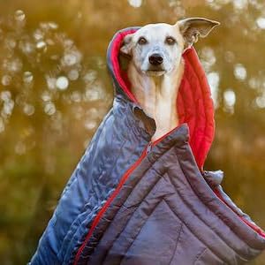 iEnergy JUL Sleeping Bag