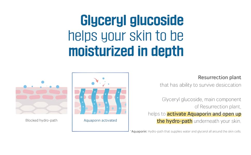 ROUND LAB Birch Juice Sunscreen keeps your skin to be moisturized in depth