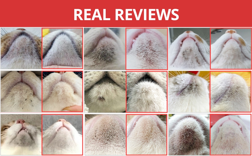 amazon-jayu-pet-black-seed-cleaner-cat-acne-chin-treatment