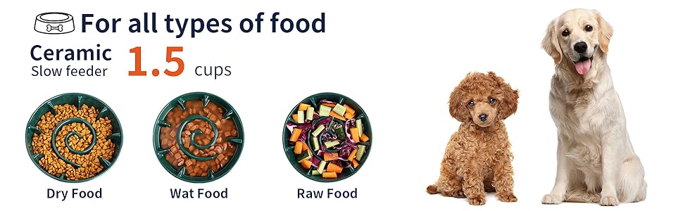 Dog Bowl Slow Feeder