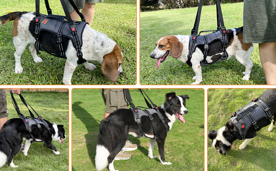 Dog Lifting Harness, Lift Support Harness Front Legs Lifting Aid with
