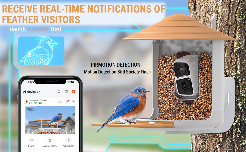 Smart Bird Feeder Camera Outside Birdfeeder Watching