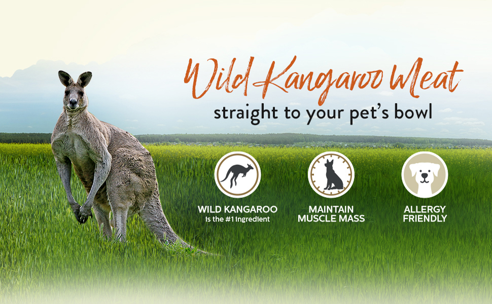 Addiction Grain Free Wild Kangaroo Apple Premium Protein Pet Dog Food