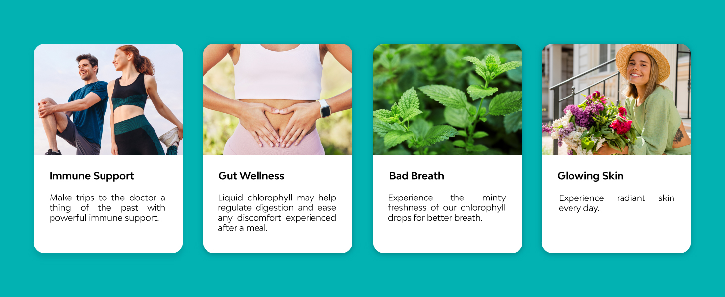 Mint Flavored Chlorophyll Liquid Drops Vegan Liquid