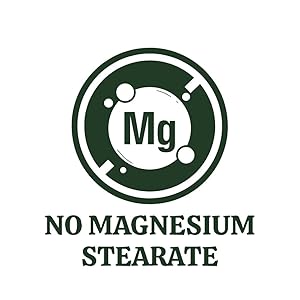 no magnesium stearate