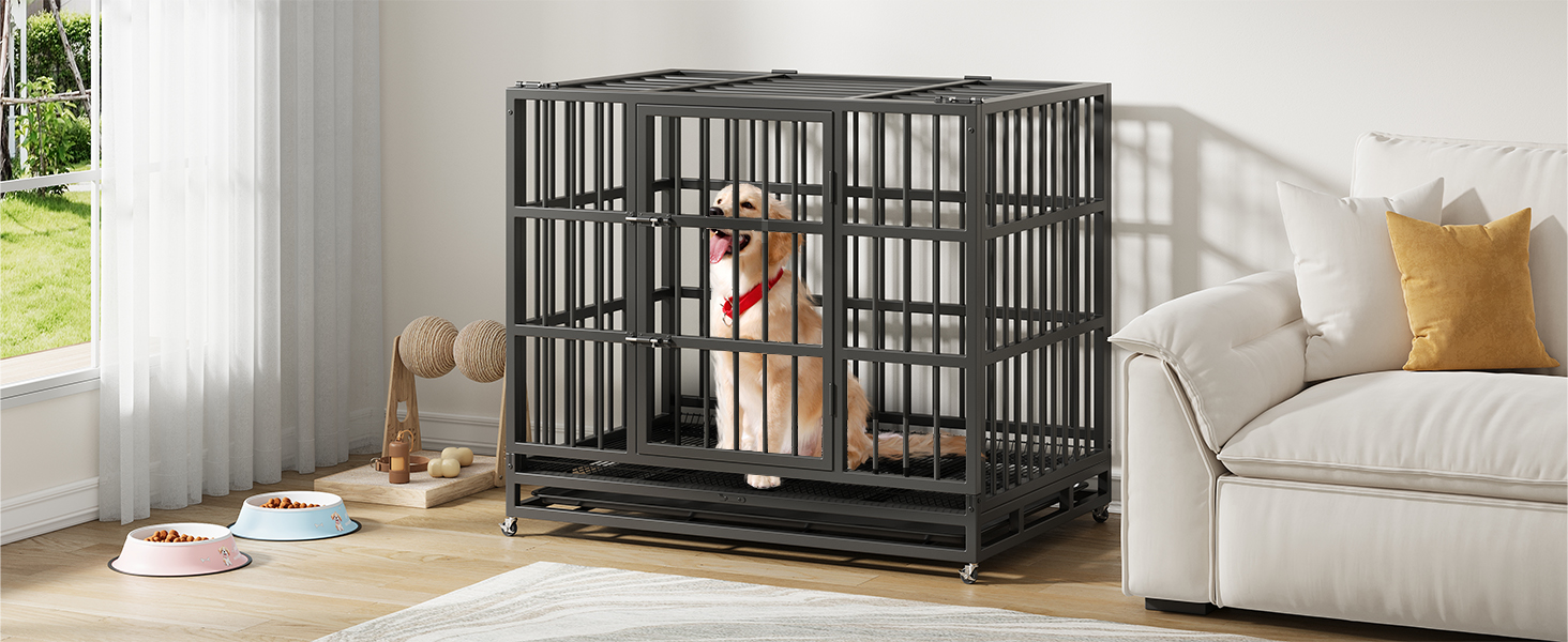 dogcrate
