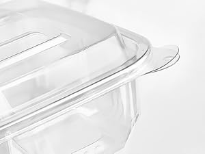 bento snack containers