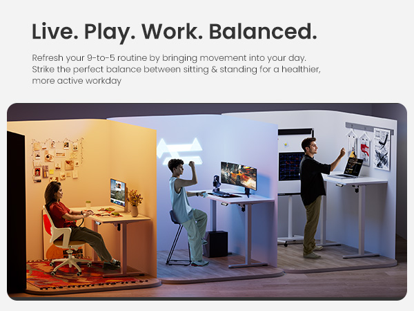 ErGear Height Adjustable Electric Standing Desk