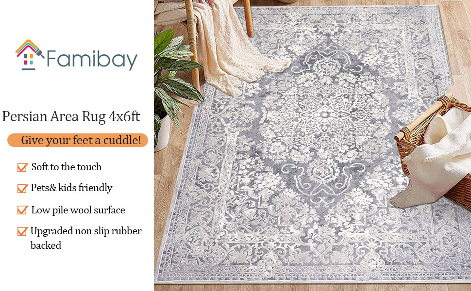 famibay Area Rug 4x6, Machine Washable Rug Pet Friendly Room Carpet Bedroom Small