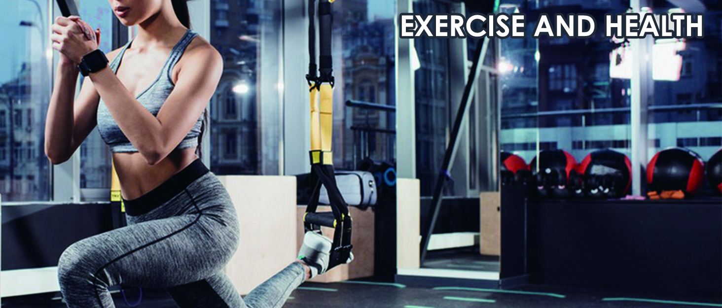hand exerciser grip strengthener