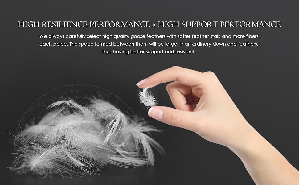 GOOSEA Goose Feathers Down Comforter King Size for All