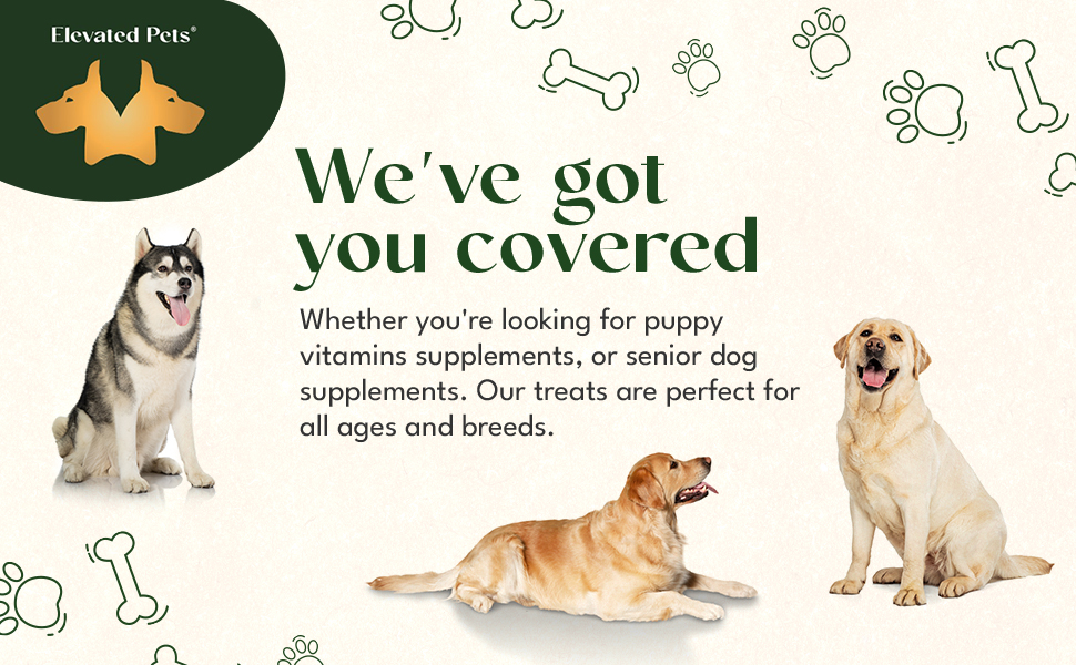 dogs with text