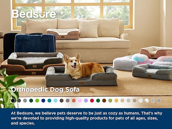 dog bed1