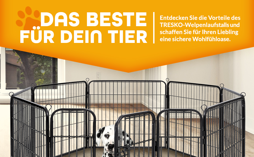Welpenauslauf