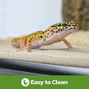 Easy to Clean