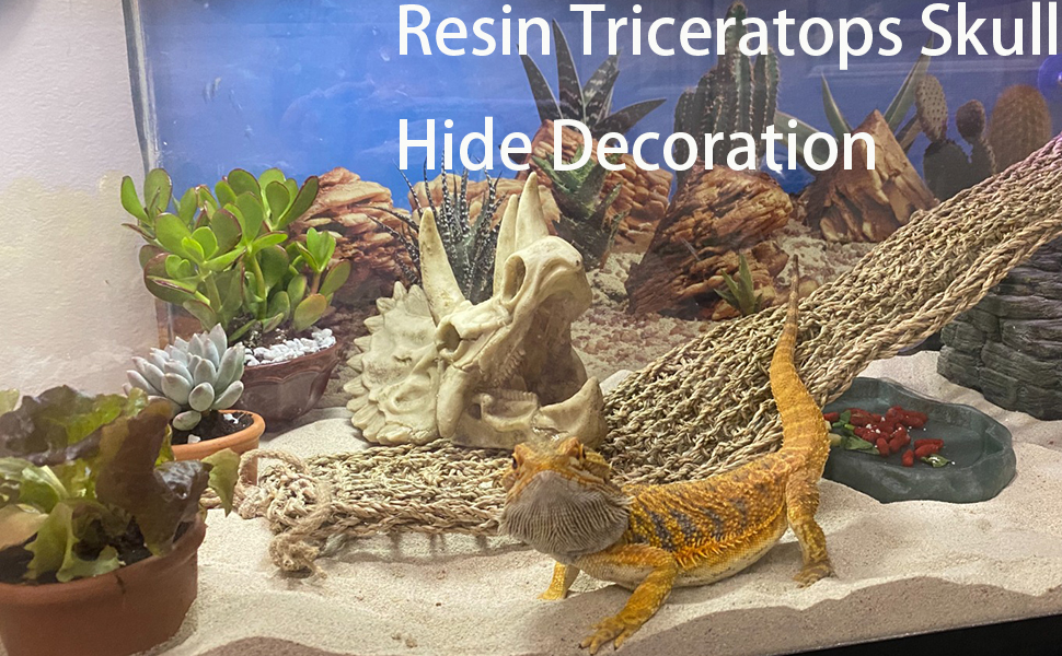 Reptiles Resin Triceratops Skull Hide Decoration