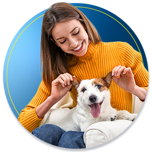 dog brush  dog brushes for grooming  dog accessories