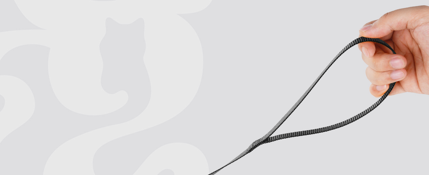 cat harness and leash