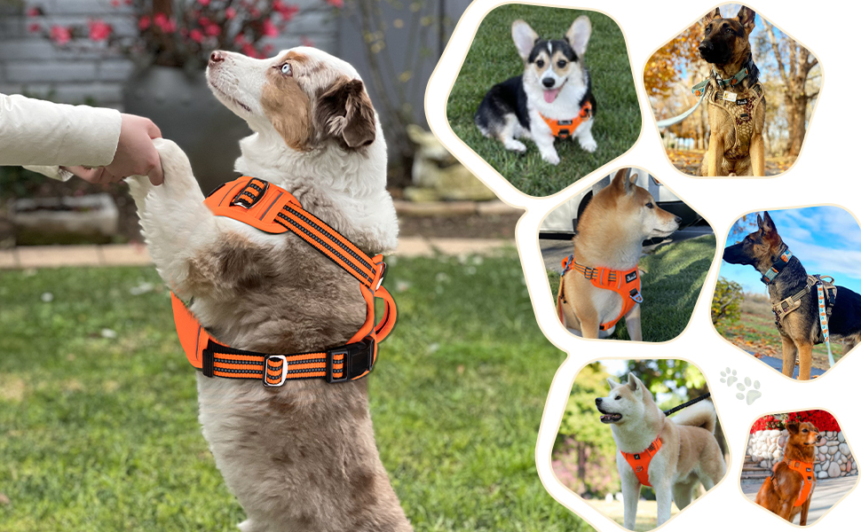 Lukovee No Pull Dog Harness, No Choke Pet Harness with 2