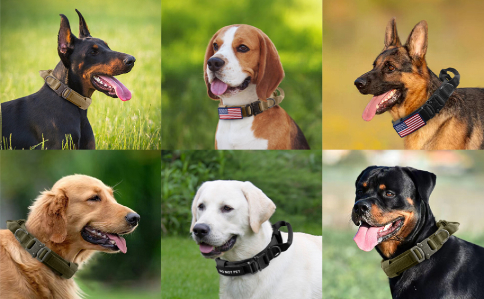 Tactical Dog Collar and Leash Set, VORCIK Adjustable