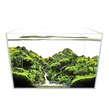 Small manufacture image 8