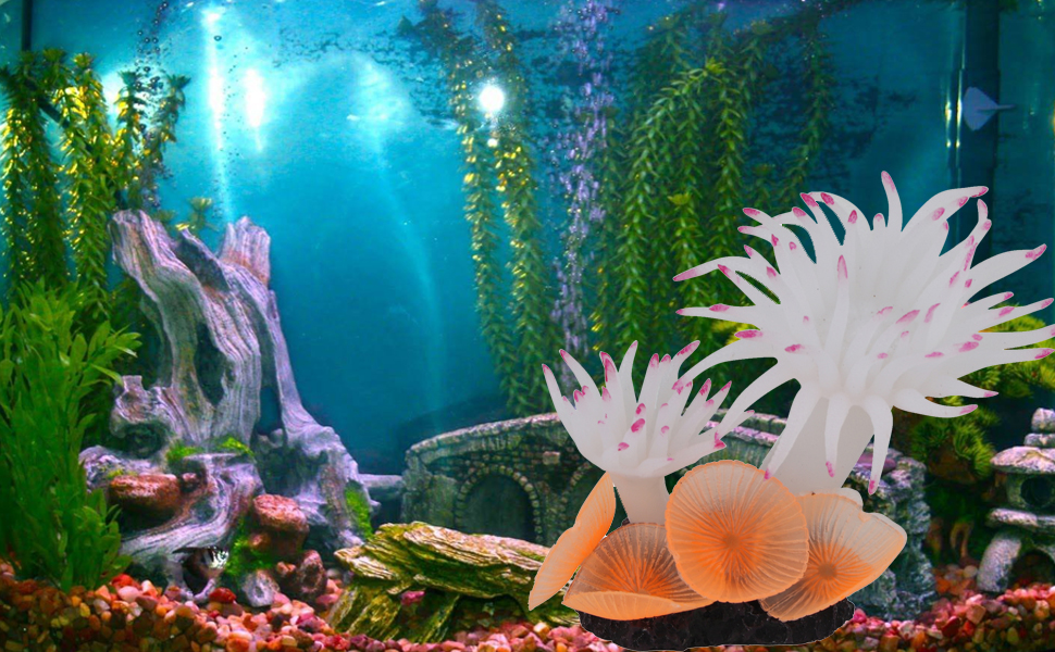 Simulation Coral Aquatic Plants