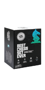 sleek and modern chess experience perfect for chess beginners