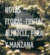 Aromatizante Fragancia para Automovil con Notas Floral Frutal, Almizcle, Pera y Manzana