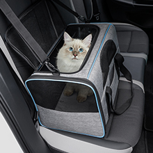 eine Katze in einer Transportbox in einem Auto