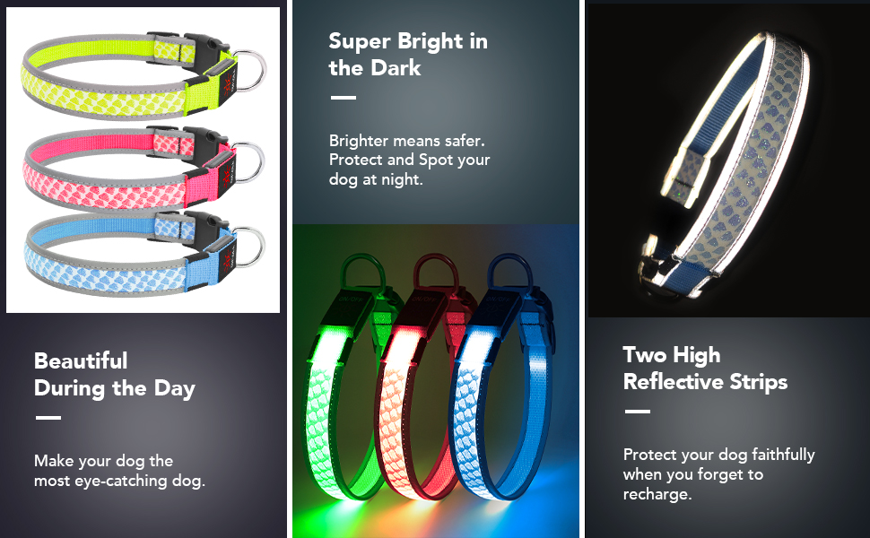 Light Up Dog Collar LED Flashing Dog Collar USB Rechargeab with 2