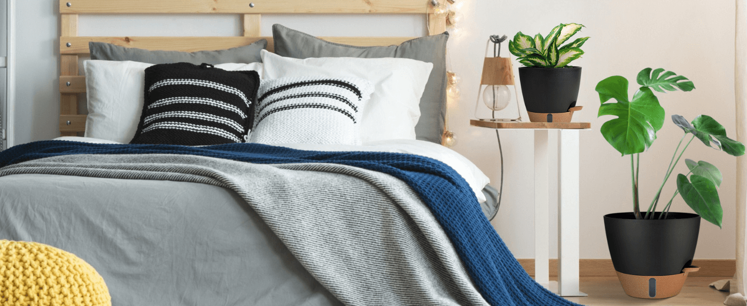 plant pots indoor with drainage