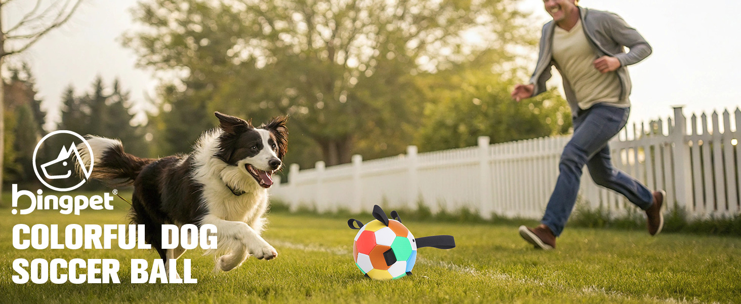 dog soccer ball