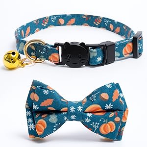 fall cat collar with bell