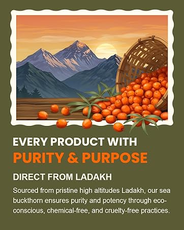 pure and real sea buckthorn ladakh ayuzera is now wellwith pahadi dukan