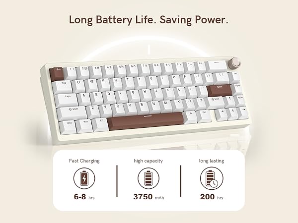 Amazon.com: Womier SK65 Wireless Mechanical Gaming Keyboard