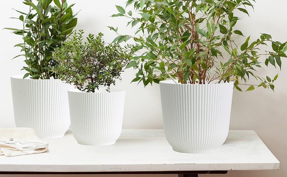 white plant pots