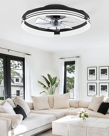 ZMISHIBO Low Profile Ceiling Fans with Lights and Remote, 20 Inch