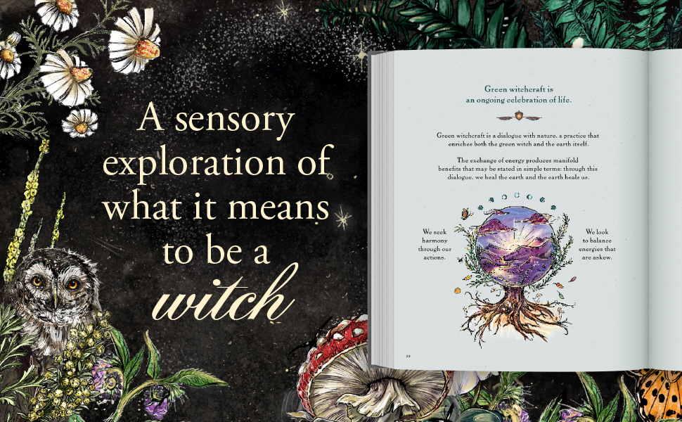 Immersive, illustrated, full-color experience representing green witchcraft and the natural world.